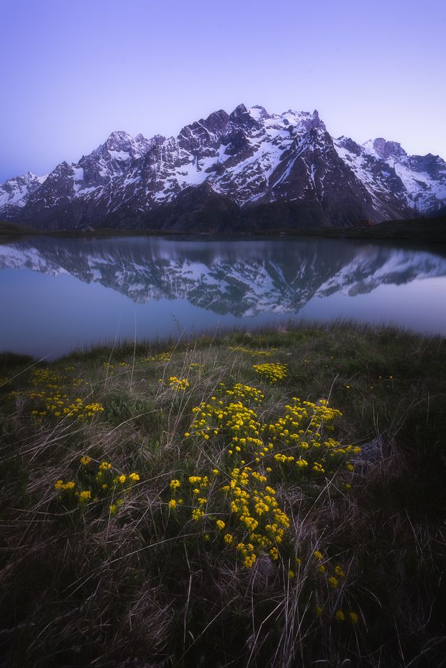 Quelques fleurs autour du lac